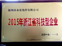 Scientific and technological enterprises of Zhejiang Province in 2015