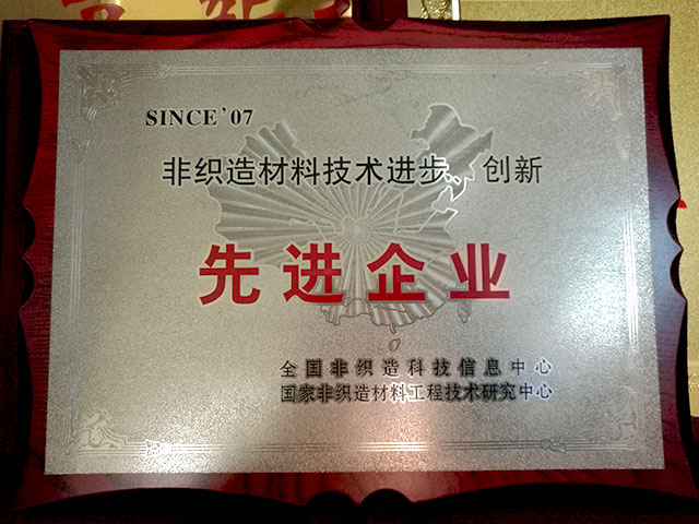 非織造材料技術(shù)進(jìn)步、創(chuàng)新－先進(jìn)企業(yè)
