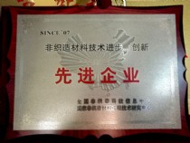 Technological progress and innovation of nonwovens -- advanced enterprises