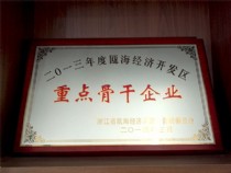 Key backbone enterprises